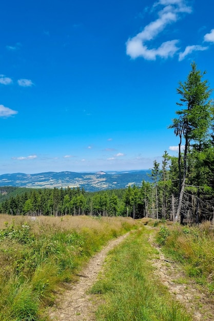 Beautiful green mountains on a sunny summer day Hiking