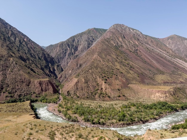 Beautiful green oasis by the water in Afghanistan