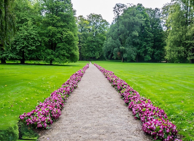 Beautiful green park and flowers between a pathway