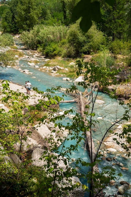 Beautiful green park in summer with a blue river