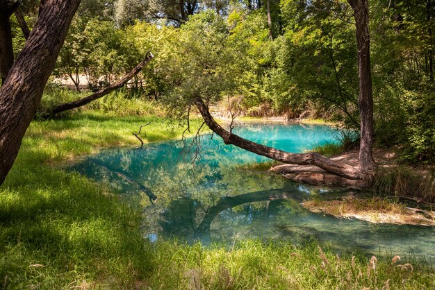 Beautiful green park in summer with a blue river