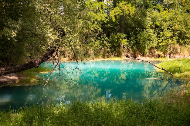 Beautiful green park in summer with a blue river