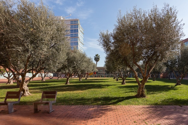 Beautiful green park with trees and benches in modern residential area next to the sea of barcelona ...