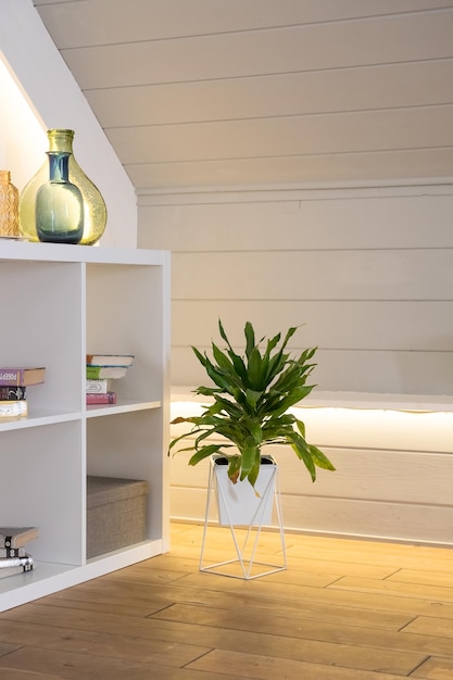 Beautiful green potted plants in stylish room interior Space for textLarge green dracaena in white pot on the floorminimalizm concept of spacewith shelves books and decorative transparent vases