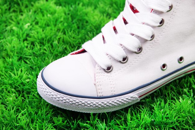 Beautiful gumshoes on green grass background