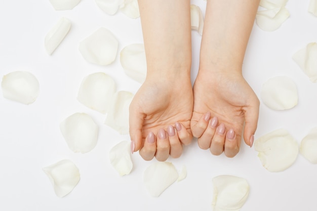 Beautiful hands with manicure and white rose petals