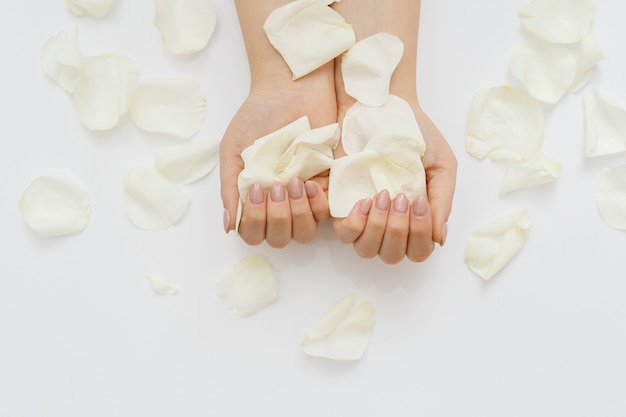 Beautiful hands with manicure and white rose petals