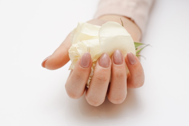 Beautiful hands with manicure and white rose