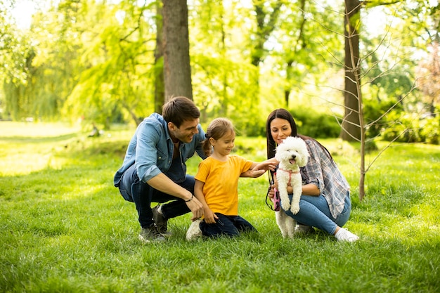 Beautiful happy family is having fun with bichon dog outdoors in the park