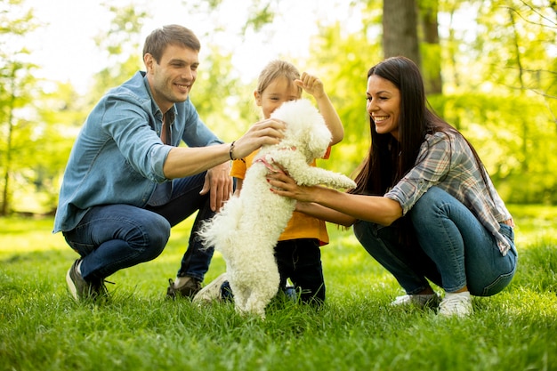 Beautiful happy family is having fun with bichon dog outdoors in the park