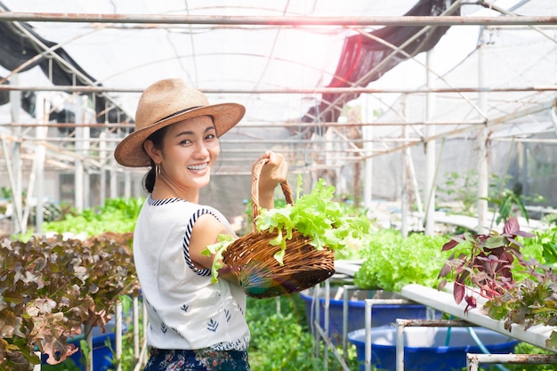 Beautiful healthy woman holding salad vegetables in hydroponics farm