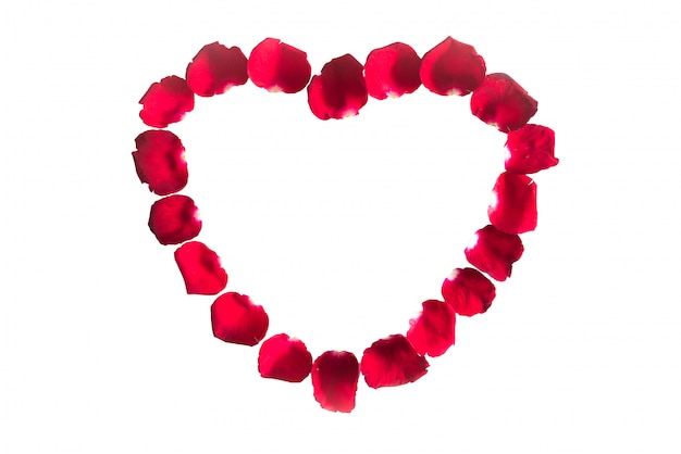 Beautiful heart of red rose petals isolated