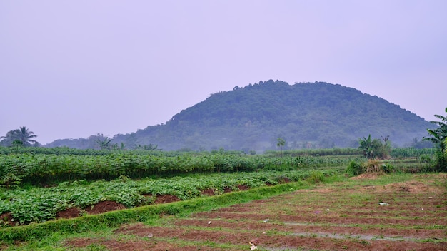 Beautiful hill on a cloudy afternoon