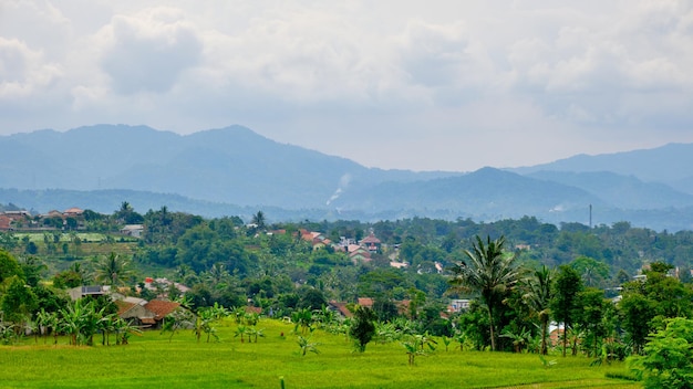 Beautiful hill view and rice fields, West Java, Indonesia