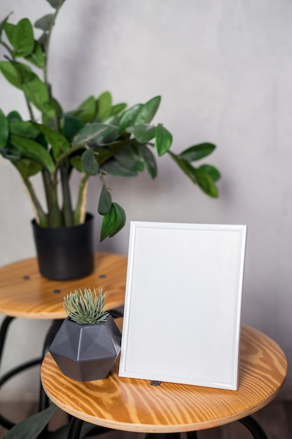 Beautiful home plant zamiokulkas with frame mockup