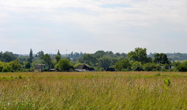 Beautiful horizon scenery in village meadow