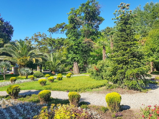 A beautiful huge garden park with flowers growing on round flower beds in the middle of garden paths against a background of tropical palm trees bright sunlight