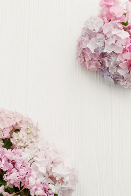 Beautiful hydrangea on rustic white wood flat lay Pink and blue hydrangea flowers border