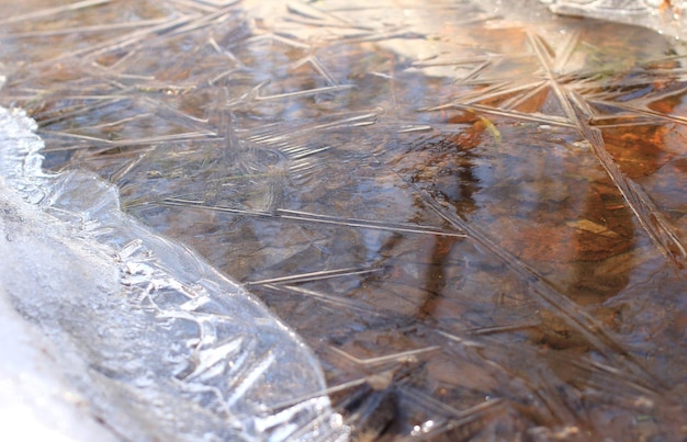 Beautiful ice on a puddle with orange dry leaves top view