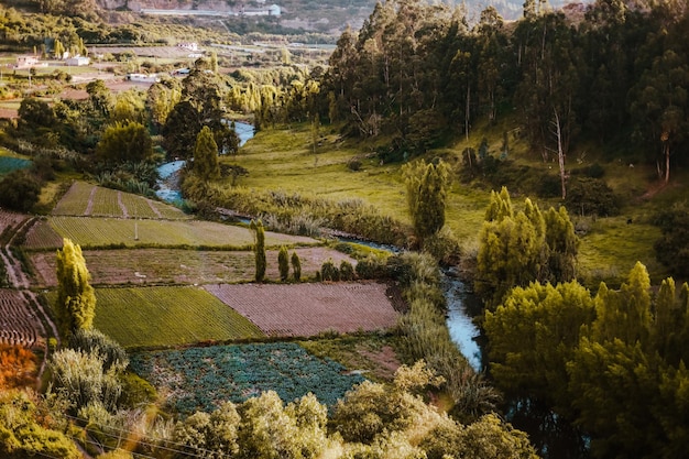 beautiful images of the fence