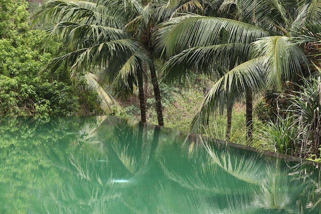 Beautiful infinity pool in a tropical garden, a relaxation area for tourists, reflection of palm trees in the water, horizontal orientation, Bali, Indonesia