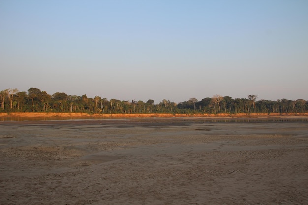 A beautiful island within the Madre de Dios river Puerto Maldonado Peru