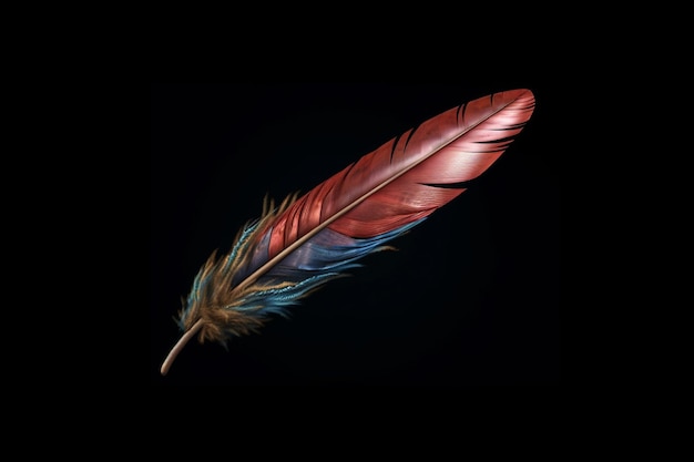 Photo beautiful isolated feather