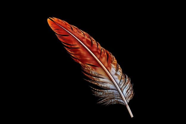 Photo beautiful isolated feather