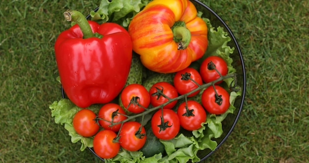 Beautiful juicy red tomatoes.