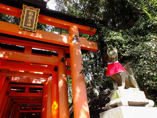 Beautiful Kyoto Fushimi Inari Shrine