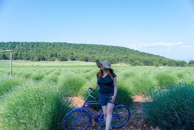 A beautiful lady working on the phone in the pergola huts in the lavender field