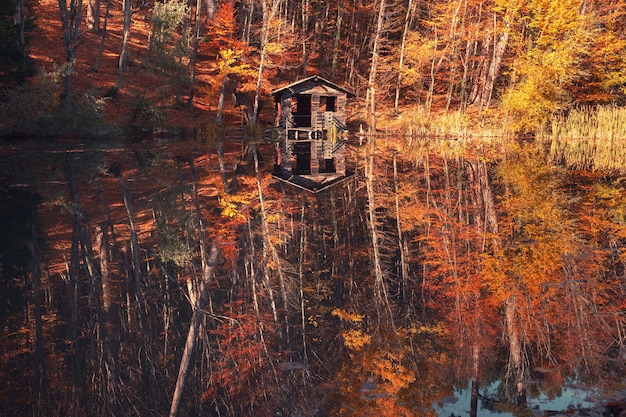 Beautiful lake in autumn forest Trees with yellow leaves reflected in the water