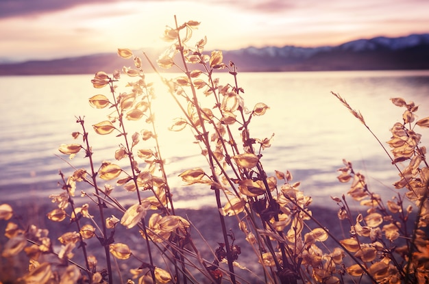 The beautiful lake in Autumn season