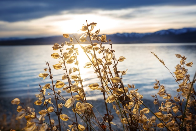 The beautiful lake in Autumn season