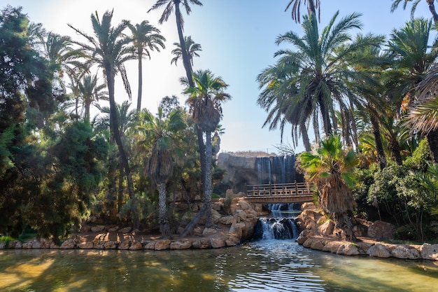 Beautiful lakes ponds and wooden bridges in the El Palmeral park in the city of Alicante