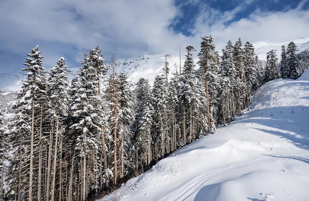 Beautiful landscape of the Arkhyz ski resort with mountains snow and forest on a sunny winter day Caucasus Mountains Russia