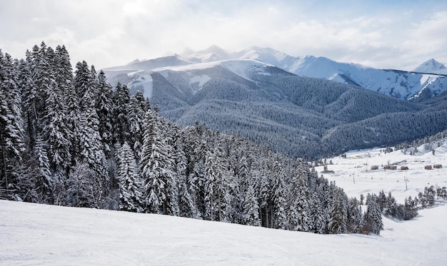 Beautiful landscape of the Arkhyz ski resort with mountains snow forest and track on a sunny winter day Caucasus Mountains Russia