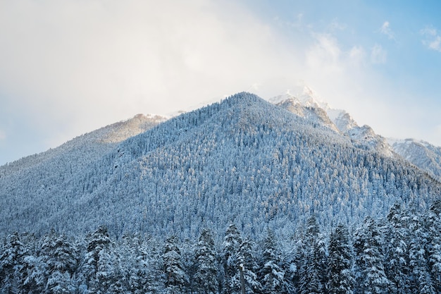 Beautiful landscape in Arkhyz with mountains and snowy forest on a cloudy winter day Caucasus Mountains Russia