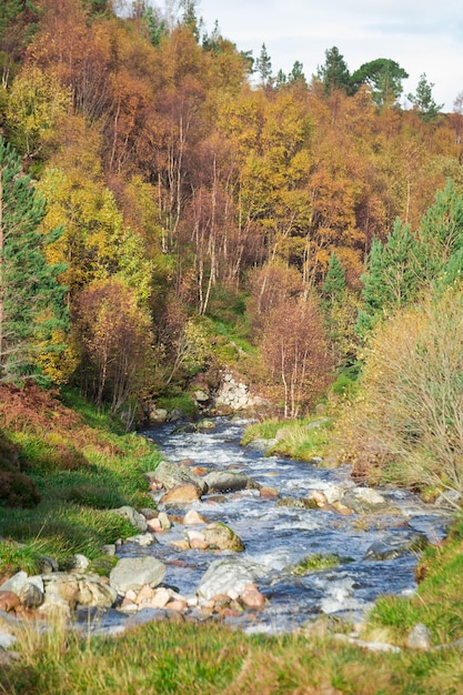 Beautiful landscape in the autumn forest of Shatland. A small river flows down through the forest.