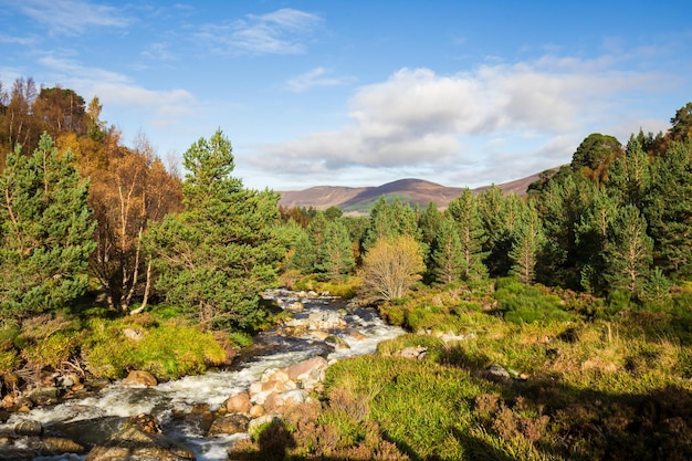 Beautiful landscape in the autumn forest of Shatland. A small river flows down through the forest.