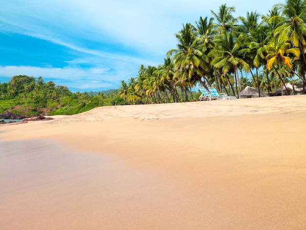 Beautiful landscape beach in Goa in India