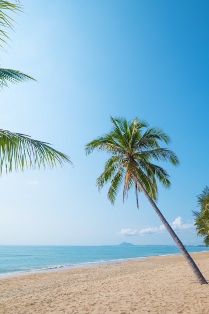 Beautiful landscape of coconut palm tree on tropical beach (seascape) in summer. Summer background concept.