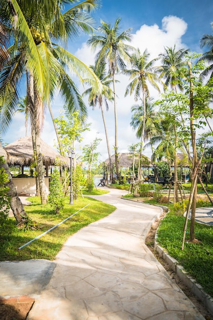 Beautiful landscape coconut tree resort mountain in Cambodia