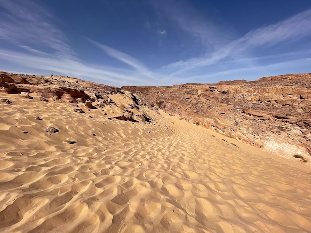 Beautiful landscape of desert with orange sand of Sinai peninsula Egypt