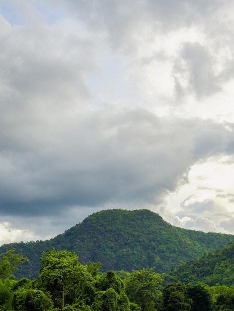 Beautiful landscape of green forest mountain view and tropical rainforest with clouds after raining in the morning Green nature earth and ecology vertical style