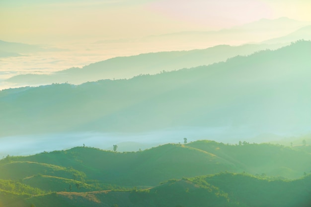 Beautiful landscape of green mountain range with fog in morning 