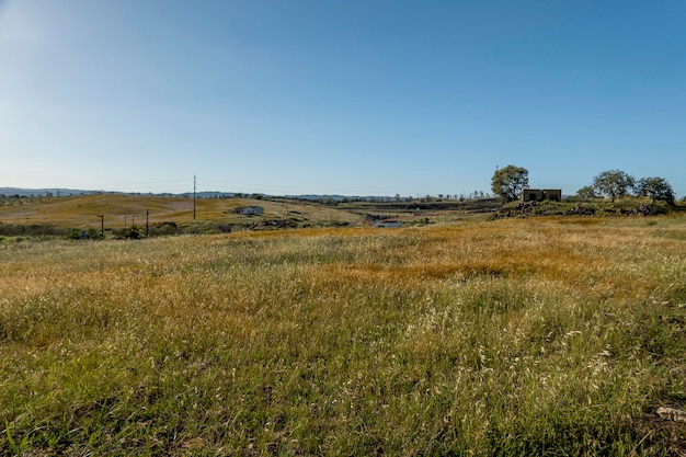 Beautiful landscape meadow on the Algarve region