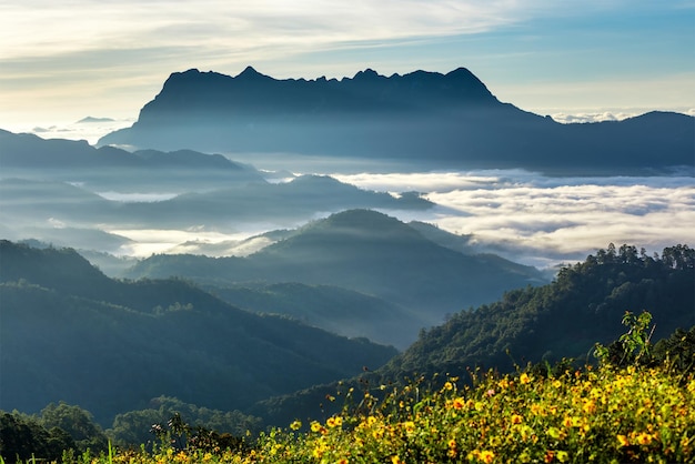 Beautiful landscape in the morning at Doi Luang Chiang Dao Chiang Mai Thailand