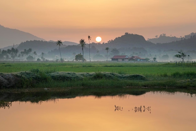 Beautiful landscape of morning sunrise over paddy field