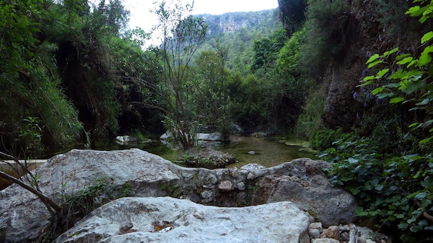 Beautiful landscape, Mountain river, fast flowing water, clear water, white stones at the bottom